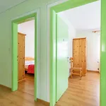 Casa Iris
